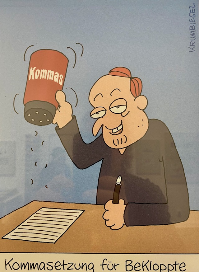 Ein Komma Kann Leben Retten Prinz Rupi